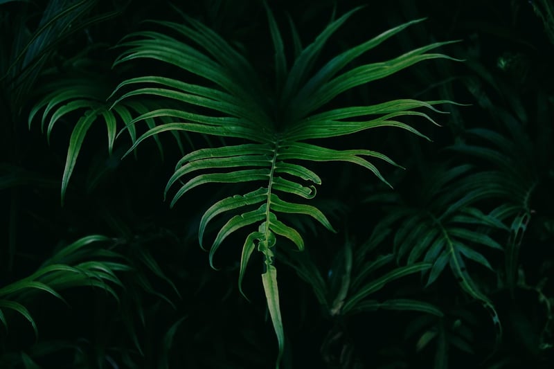 Vertical Planting